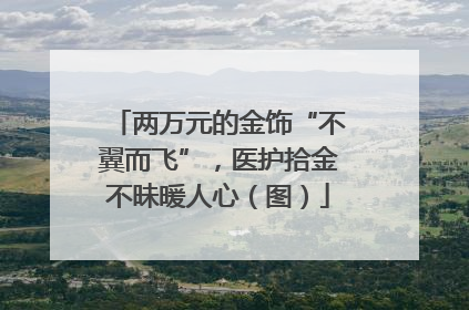 两万元的金饰“不翼而飞”，医护拾金不昧暖人心（图）