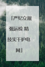 严纪立规强运检 精技实干护电网