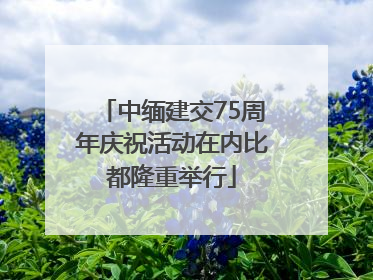中缅建交75周年庆祝活动在内比都隆重举行