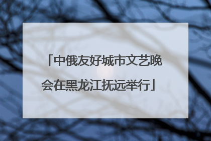 中俄友好城市文艺晚会在黑龙江抚远举行
