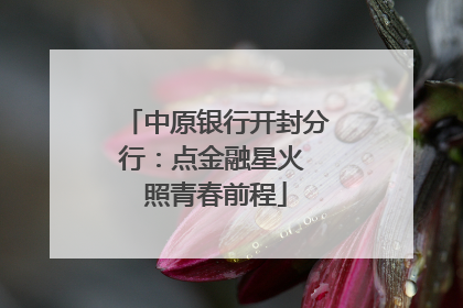 中原银行开封分行：点金融星火 照青春前程