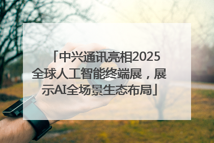 中兴通讯亮相2025全球人工智能终端展，展示AI全场景生态布局