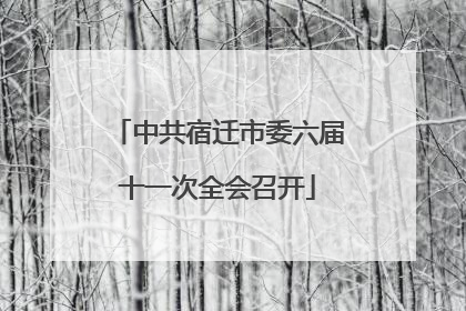 中共宿迁市委六届十一次全会召开