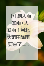 中到大雨+暴雨+大暴雨！河北大范围降雨要来了……