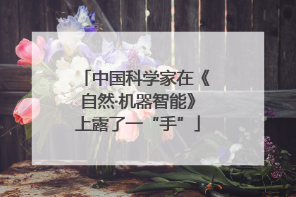 中国科学家在《自然·机器智能》上露了一“手”
