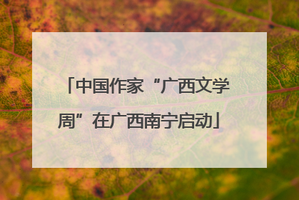 中国作家“广西文学周”在广西南宁启动