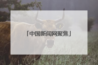 中国新闻网聚焦