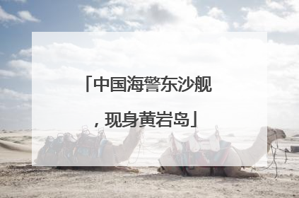 中国海警东沙舰，现身黄岩岛