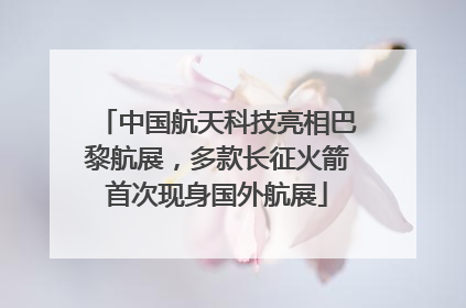中国航天科技亮相巴黎航展，多款长征火箭首次现身国外航展