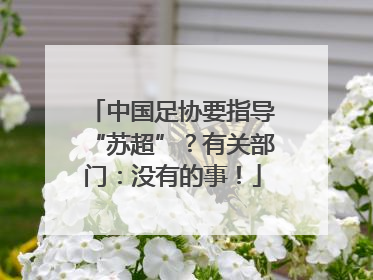 中国足协要指导“苏超”？有关部门：没有的事！