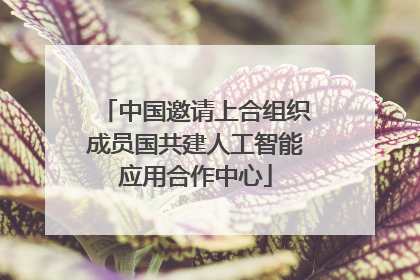 中国邀请上合组织成员国共建人工智能应用合作中心