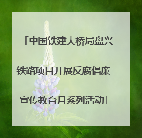 中国铁建大桥局盘兴铁路项目开展反腐倡廉宣传教育月系列活动