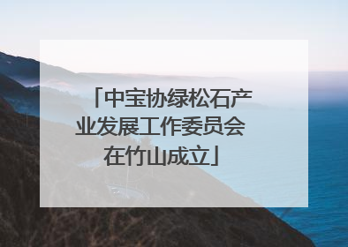 中宝协绿松石产业发展工作委员会在竹山成立