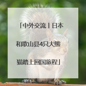 中外交流丨日本和歌山县4只大熊猫踏上回国旅程