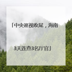 中央巡视收尾，海南3天连查3名厅官