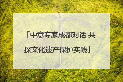 中意专家成都对话 共探文化遗产保护实践