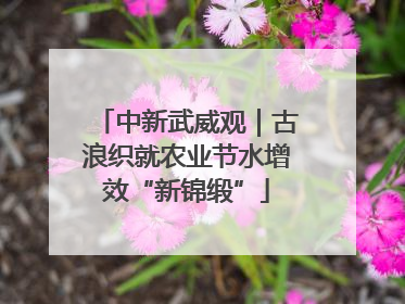 中新武威观｜古浪织就农业节水增效“新锦缎”