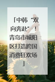 中韩“双向奔赴”！青岛市城阳区打造跨国消费狂欢场