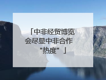 中非经贸博览会尽显中非合作“热度”