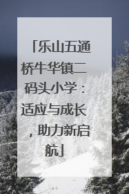 乐山五通桥牛华镇二码头小学：适应与成长，助力新启航