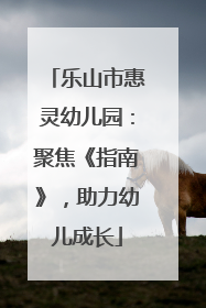 乐山市惠灵幼儿园：聚焦《指南》，助力幼儿成长