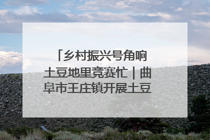 乡村振兴号角响 土豆地里竞赛忙｜曲阜市王庄镇开展土豆收获劳动竞赛