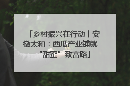 乡村振兴在行动丨安徽太和：西瓜产业铺就“甜蜜”致富路