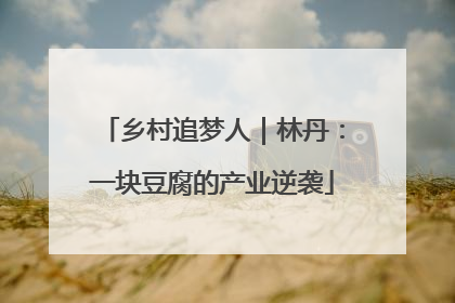乡村追梦人｜林丹：一块豆腐的产业逆袭