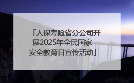 人保寿险省分公司开展2025年全民国家安全教育日宣传活动