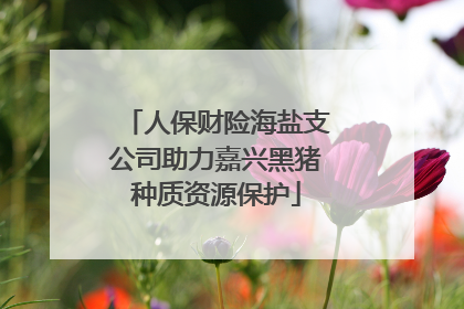 人保财险海盐支公司助力嘉兴黑猪种质资源保护