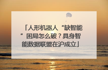 人形机器人“缺智能”困局怎么破？具身智能数据联盟在沪成立