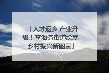 人才返乡 产业升级！李海务街道绘就乡村振兴新图景