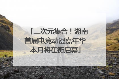 二次元集合！湖南首届电竞动漫嘉年华本月将在衡启幕