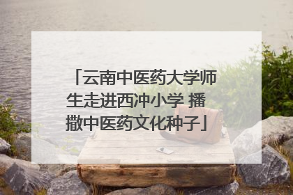 云南中医药大学师生走进西冲小学 播撒中医药文化种子