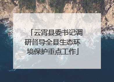 云霄县委书记调研督导全县生态环境保护重点工作