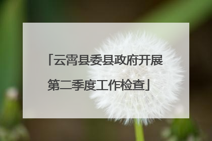 云霄县委县政府开展第二季度工作检查