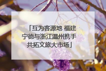 互为客源地 福建宁德与浙江温州携手共拓文旅大市场