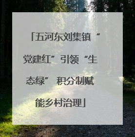 五河东刘集镇“党建红”引领“生态绿” 积分制赋能乡村治理