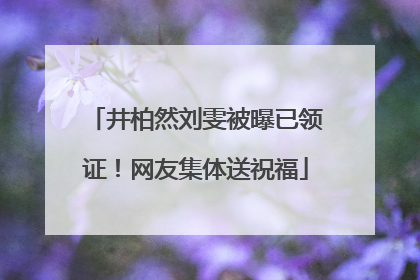 井柏然刘雯被曝已领证！网友集体送祝福