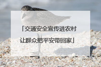 交通安全宣传进农村 让群众把平安带回家