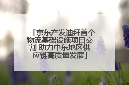 京东产发迪拜首个物流基础设施项目交割 助力中东地区供应链高质量发展