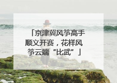 京津冀风筝高手顺义开赛，花样风筝云端“比武”