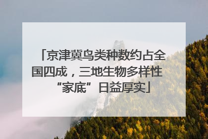 京津冀鸟类种数约占全国四成，三地生物多样性“家底”日益厚实