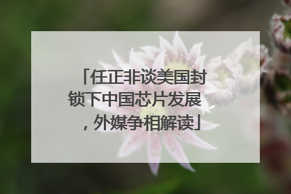 任正非谈美国封锁下中国芯片发展，外媒争相解读