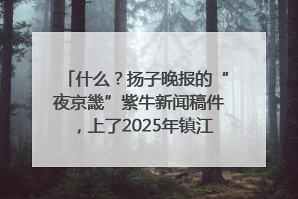 什么？扬子晚报的“夜京畿”紫牛新闻稿件，上了2025年镇江中考模拟卷！
