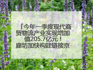 今年一季度现代商贸物流产业实现增加值205.7亿元！廊坊加快构建链接京津冀面向全世界的物流通道