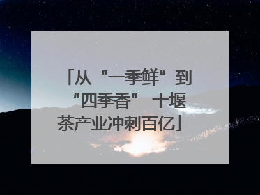 从“一季鲜”到“四季香” 十堰茶产业冲刺百亿