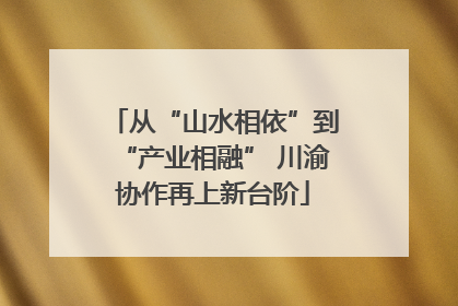 从“山水相依”到“产业相融” 川渝协作再上新台阶
