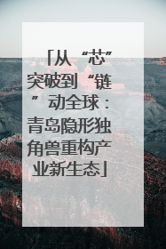 从“芯”突破到“链”动全球：青岛隐形独角兽重构产业新生态