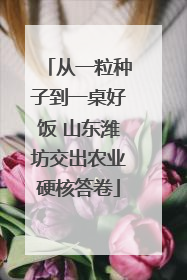 从一粒种子到一桌好饭 山东潍坊交出农业硬核答卷
